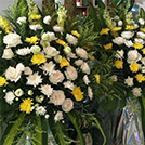 鮮花租賃