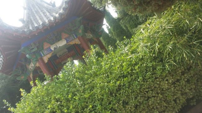園區景觀