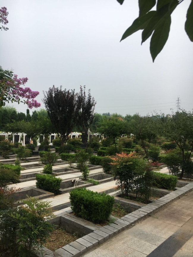 園區景觀