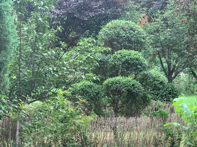 園區景觀