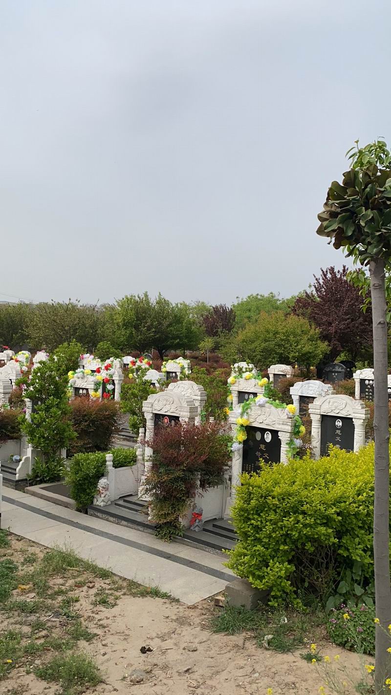 園區(qū)景觀