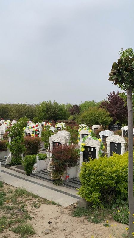 園區(qū)景觀